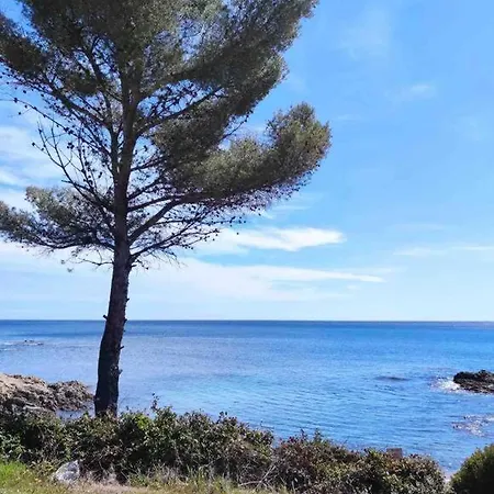 Apartment Golfe St Tropez 3 Pieces A 2 Min De Plage Sainte-Maxime